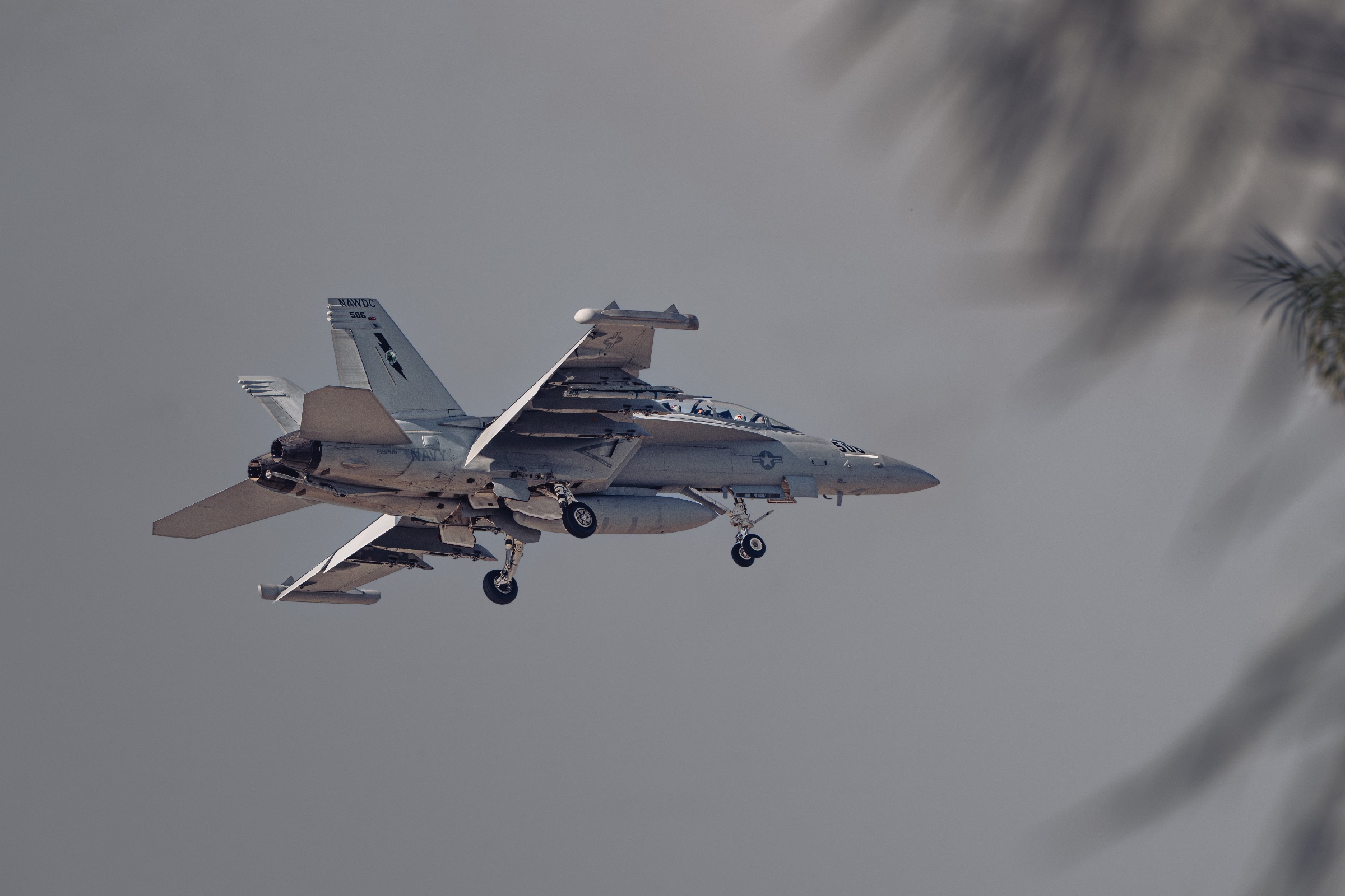 DSC_8010.jpg